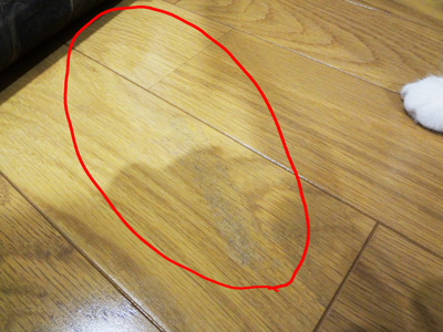 remove-stains-on-floor-coat.jpg